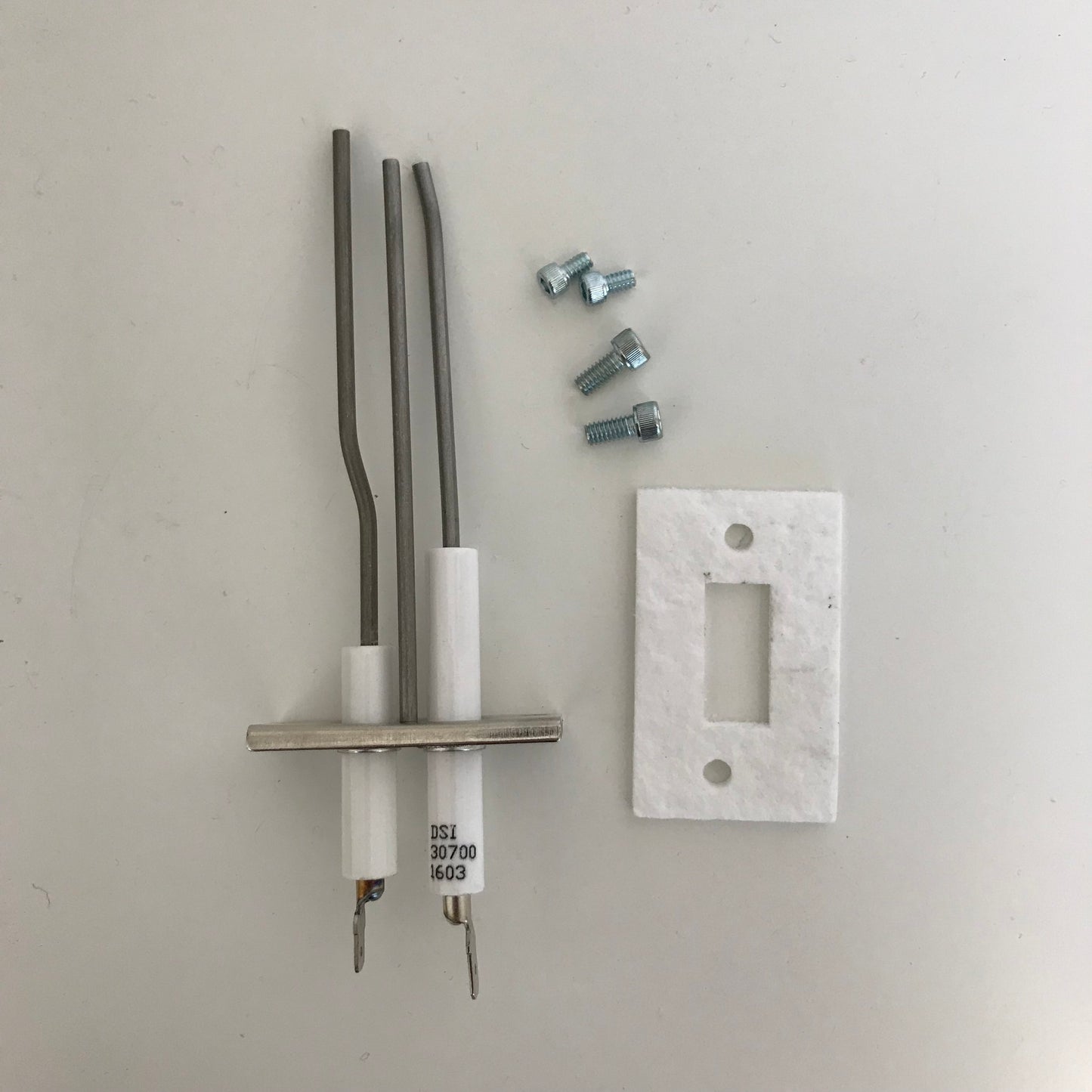 Electrode Assembly (CRV B & E Series): 02713200
